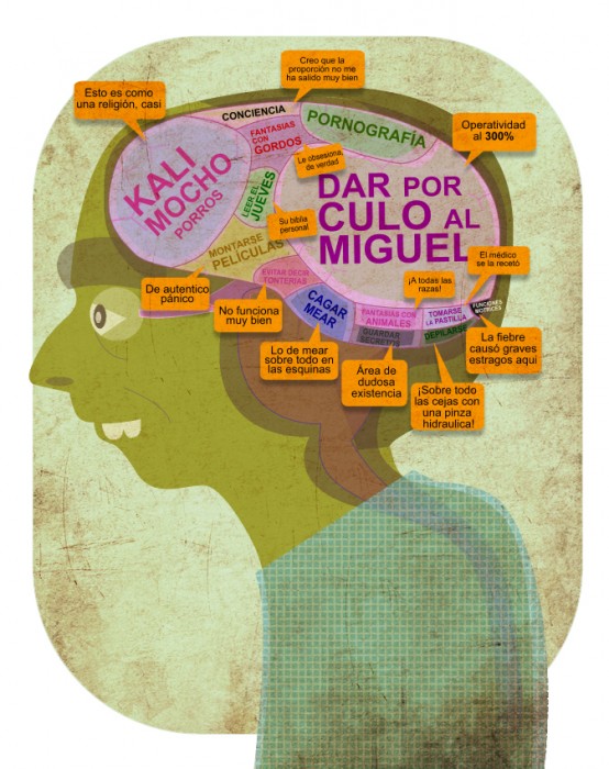 Brain Chart Illustration